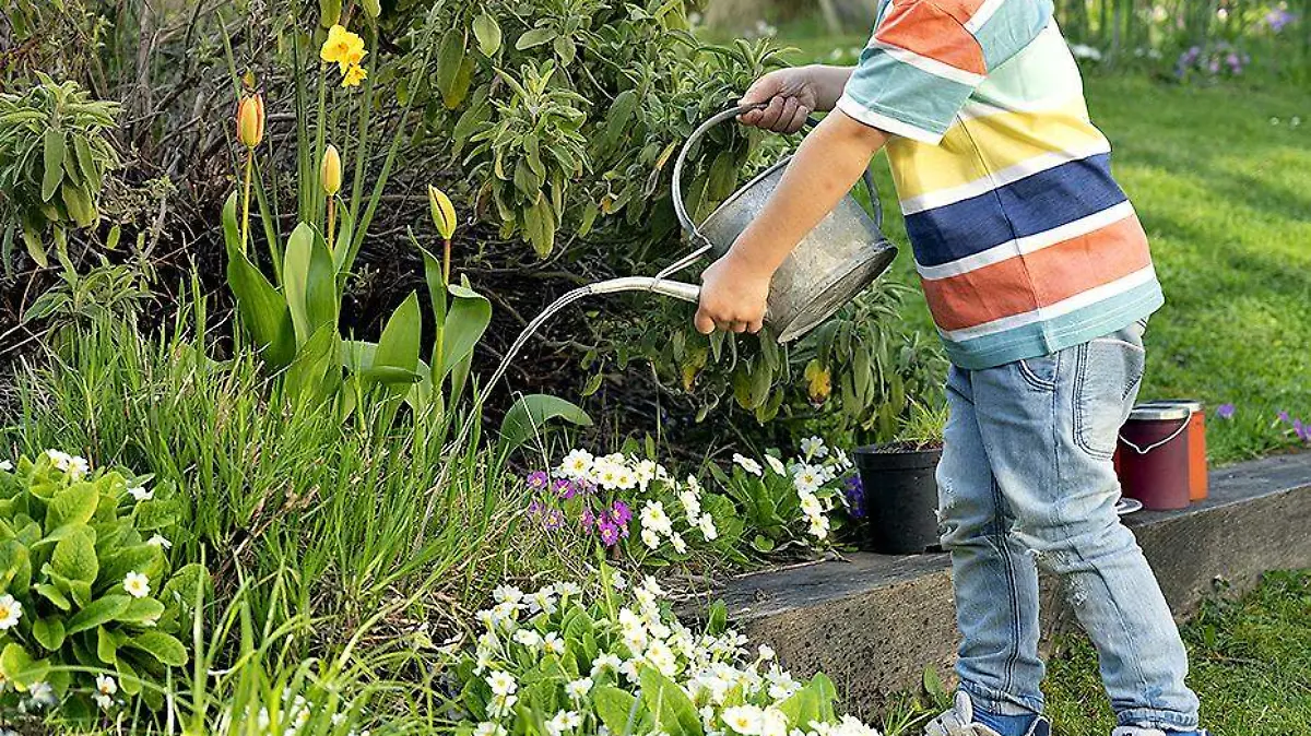 persona regando plantas